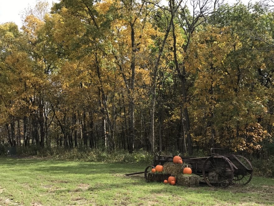 Country Scenery